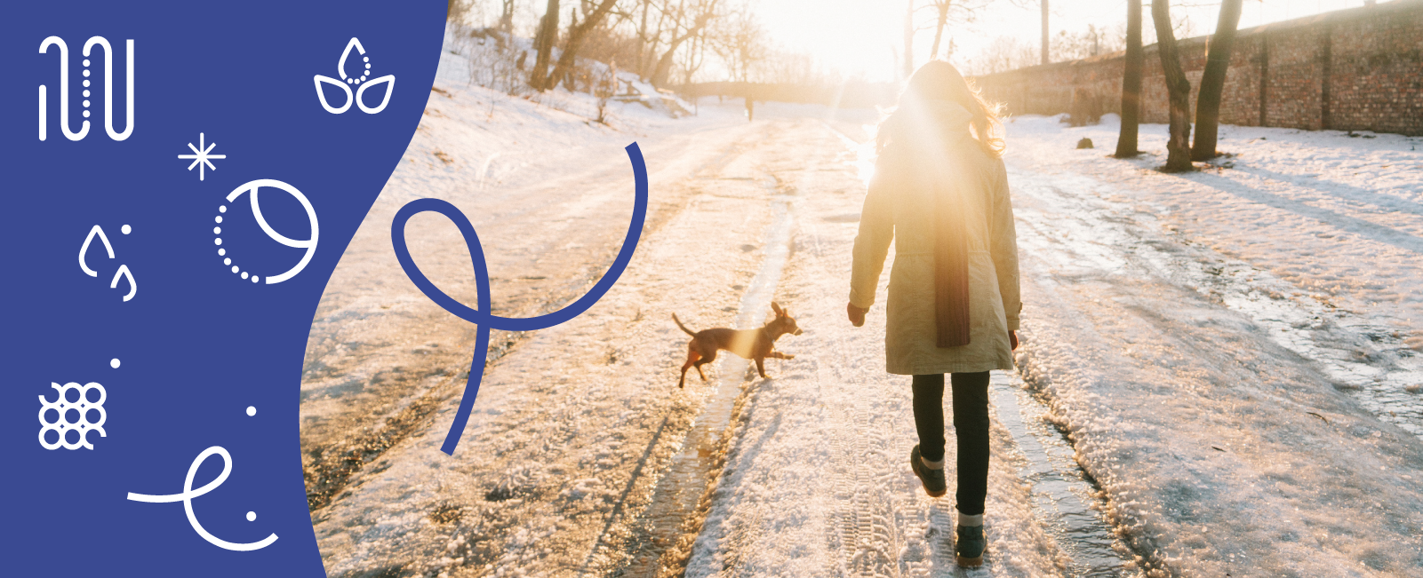 Nainen kävelellä koiran kanssa talvisena päivänä, aurinko paistaa. Kävelytie meluaidan vieressä.